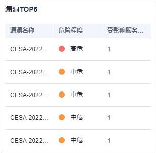 图5-4 漏洞TOP5.jpg